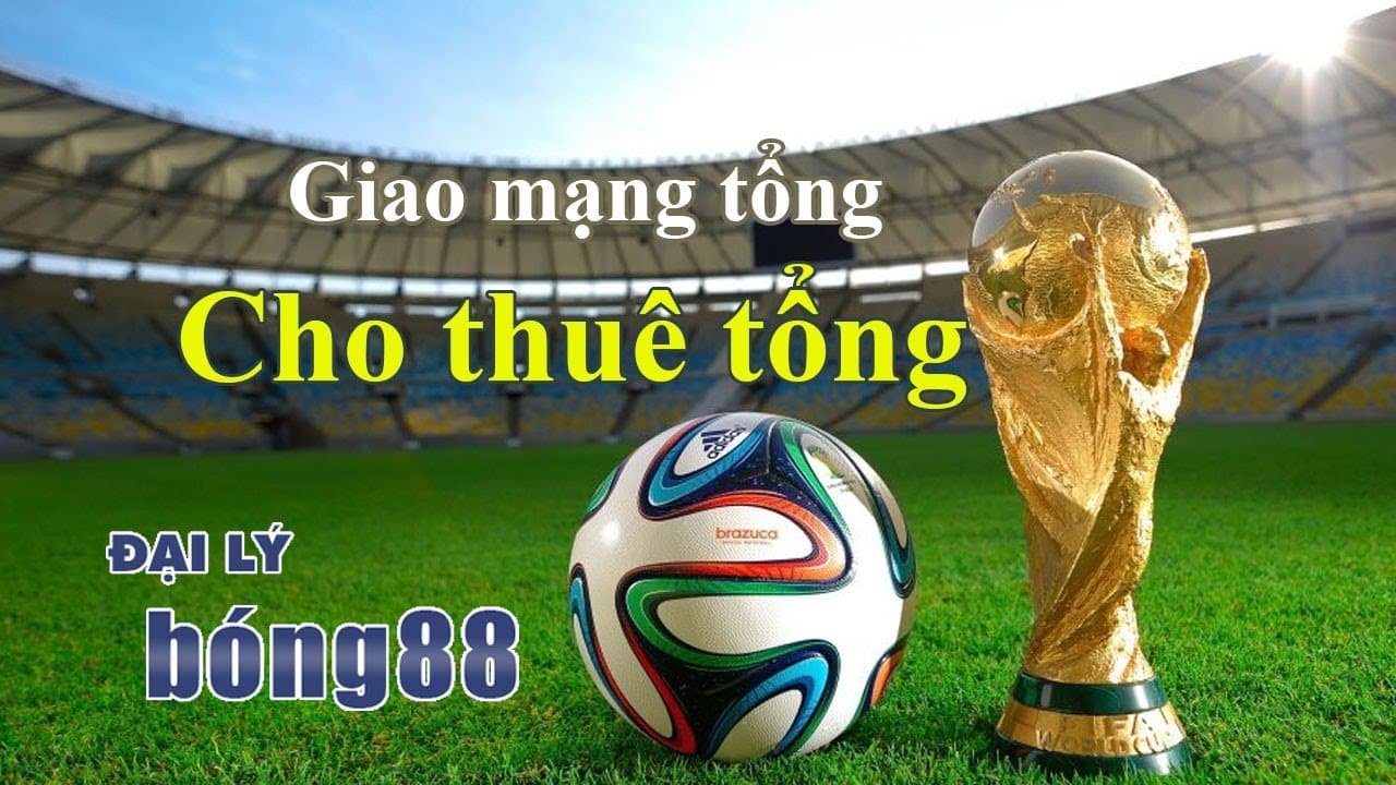 giao mạng tổng viva88 giao mạng tổng viva88