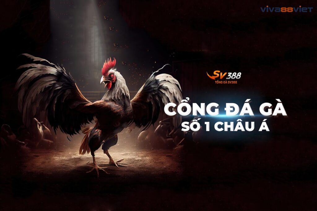 Cổng đá gà số 1 châu á Cổng đá gà số 1 châu á
